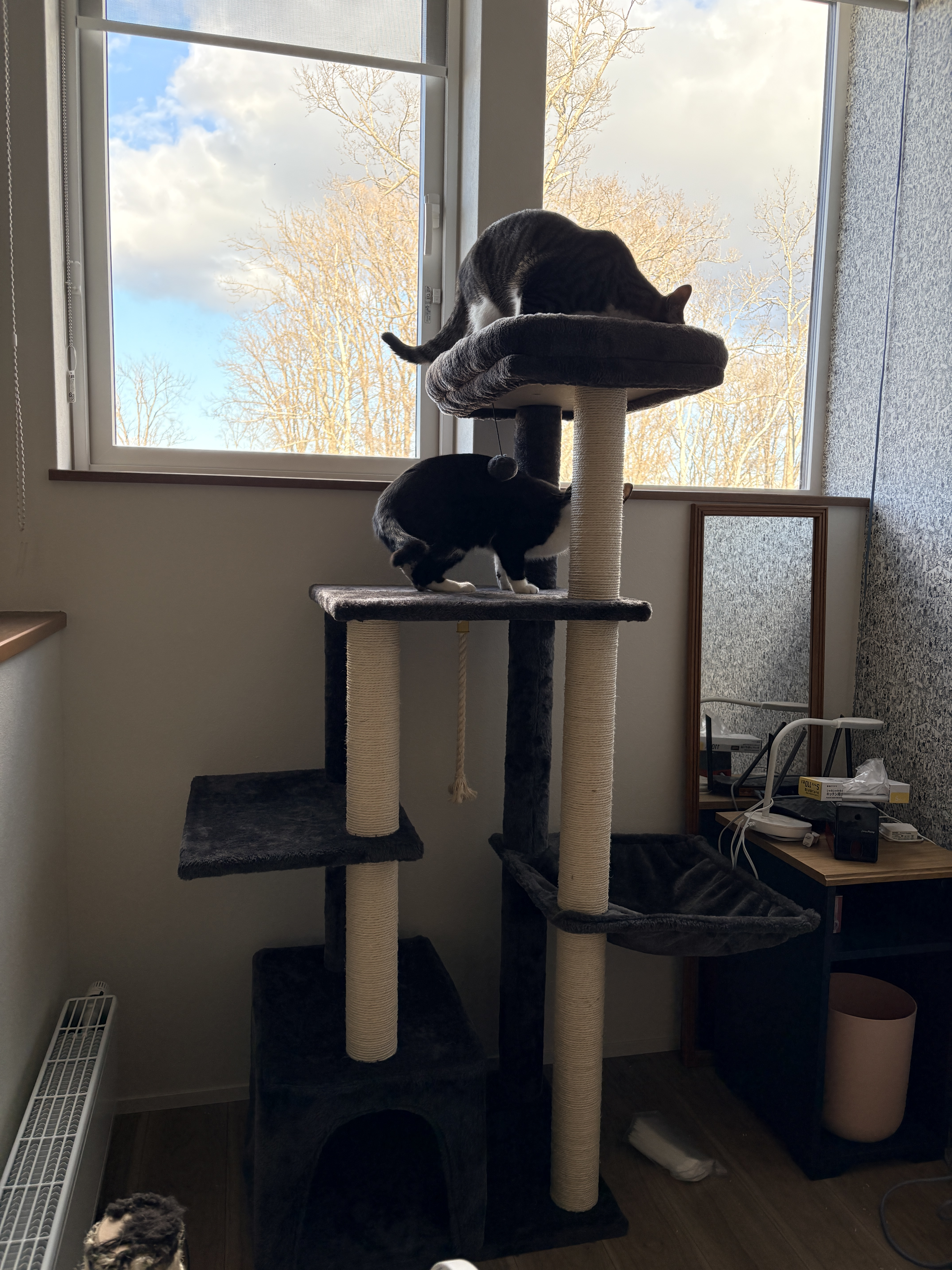cat_tower